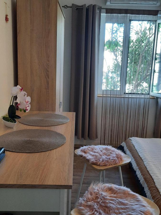 Studio Apartment Katalpa Zadar Bagian luar foto